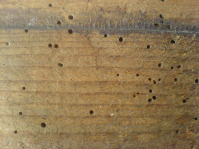 TRAITER LES SURFACES AU XYLOPHENE TRAITEMENT MEUBLES EN BOIS ANCIENS