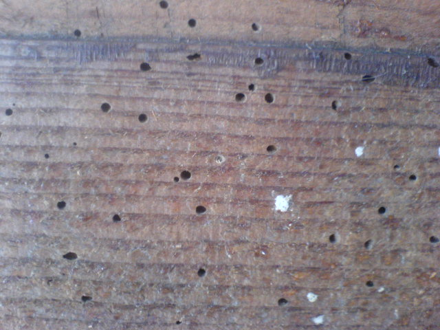 TRAITER LES SURFACES AU XYLOPHENE TRAITEMENT MEUBLES EN BOIS ANCIENS