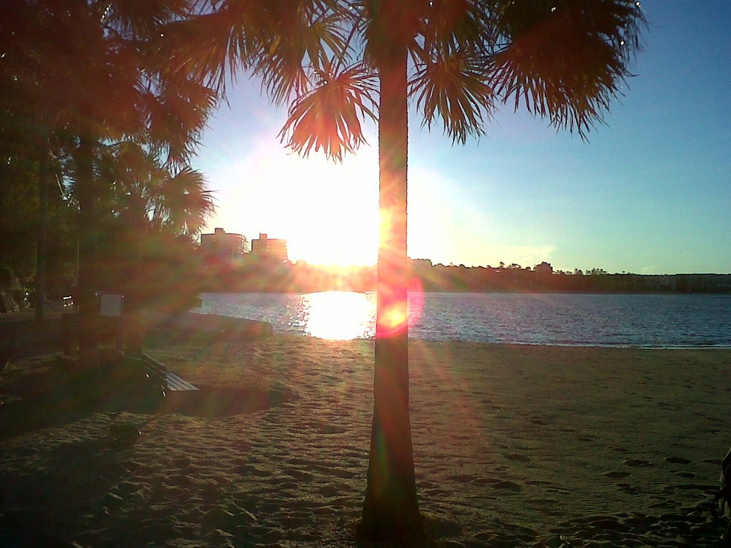 COUCHER DE SOLEIL AUSTRALIE SYDNEY AUSTRALIA 