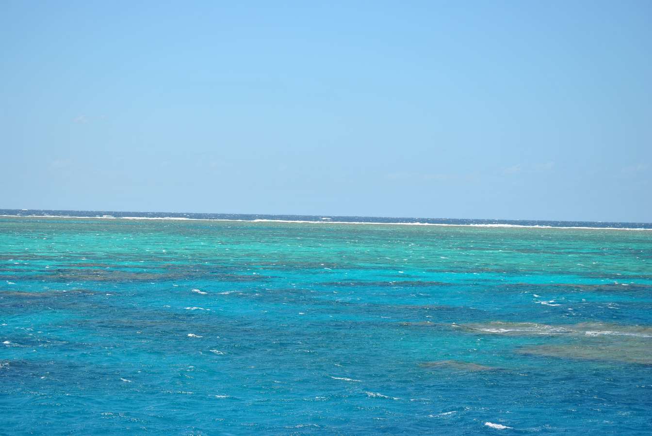 AUSTRALIE/GREAT BARRIER REEF GRANDE BARRIERE DE CORAIL QUEENSLAND CAIRNS