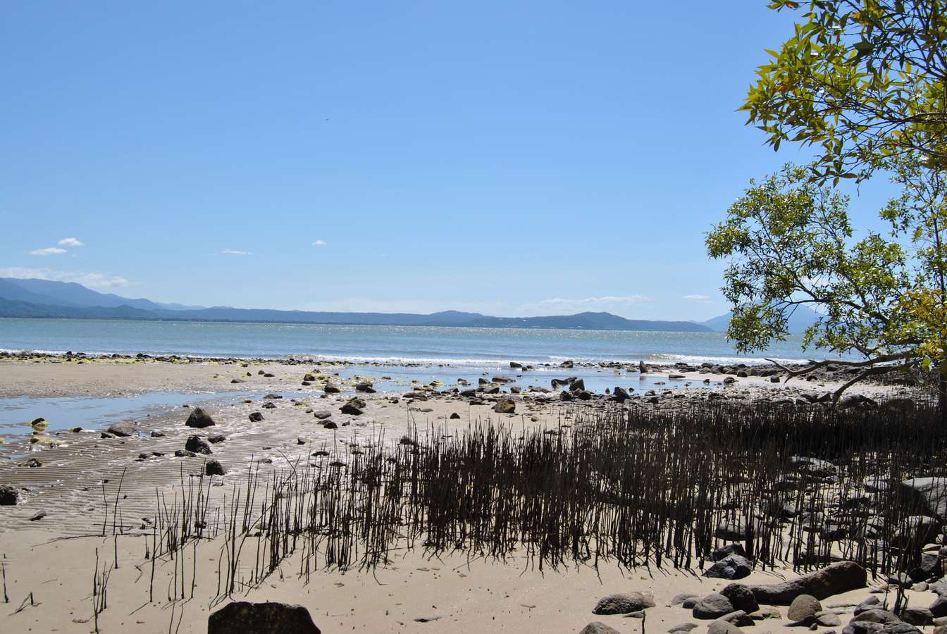 AUSTRALIE/PORT DOUGLAS A MAREE BASSE