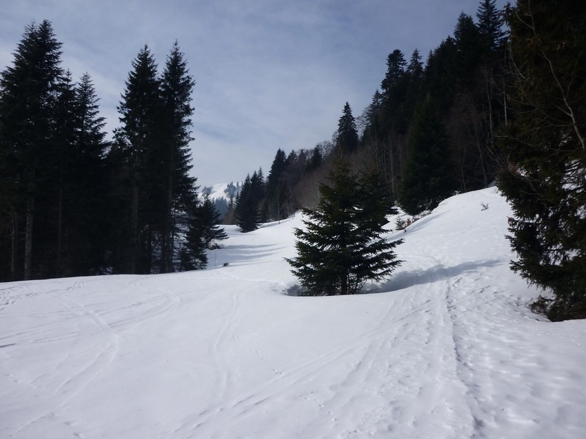 TRAVERSEE DU JURA FRANCO SUISSE EN RAQUETTE ET SKI DE FOND