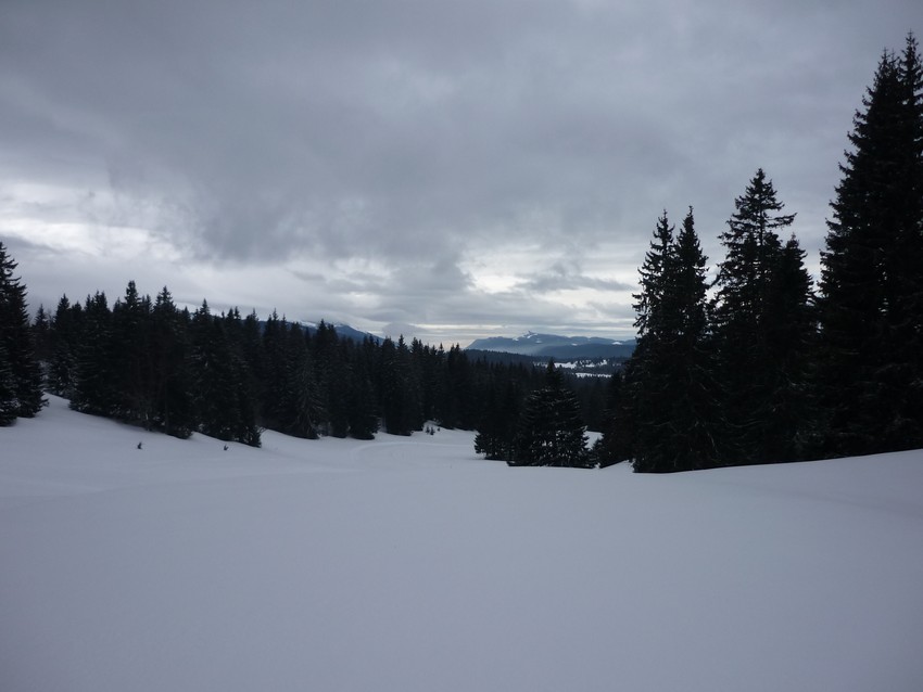 TRAVERSEE DU JURA FRANCO SUISSE EN RAQUETTE ET SKI DE FOND