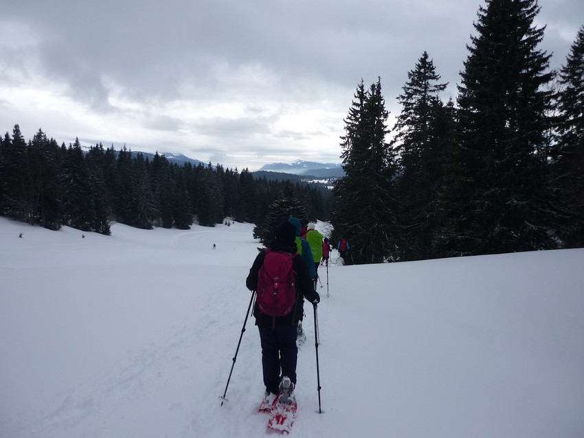 TRAVERSEE DU JURA FRANCO SUISSE EN RAQUETTE ET SKI DE FOND