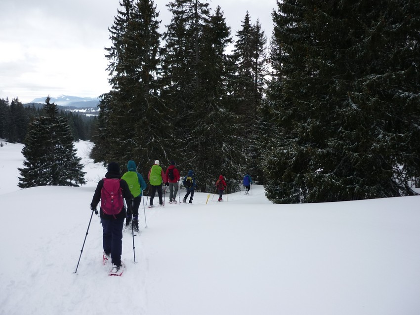 TRAVERSEE DU JURA FRANCO SUISSE EN RAQUETTE ET SKI DE FOND