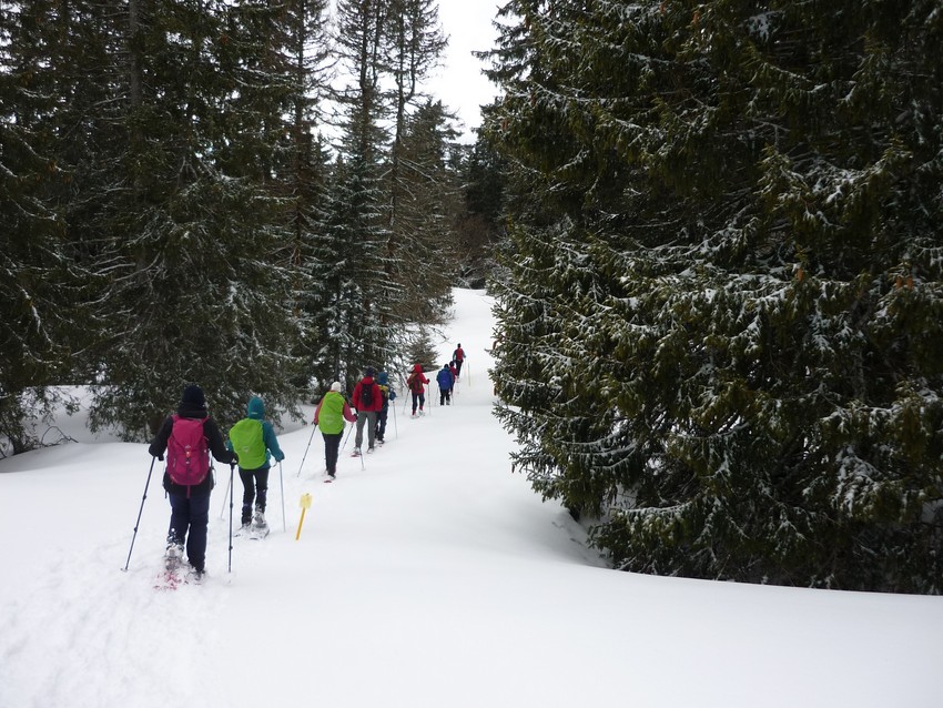TRAVERSEE DU JURA FRANCO SUISSE EN RAQUETTE ET SKI DE FOND