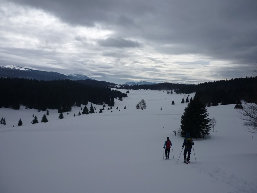 TRAVERSEE DU JURA FRANCO SUISSE EN RAQUETTE ET SKI DE FOND