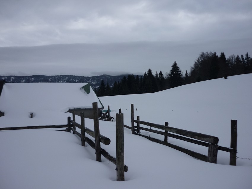 TRAVERSEE DU JURA FRANCO SUISSE EN RAQUETTE ET SKI DE FOND