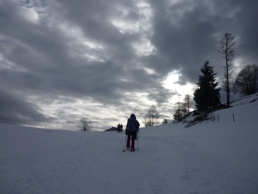TRAVERSEE DU JURA FRANCO SUISSE EN RAQUETTE ET SKI DE FOND