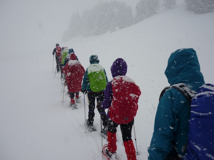 TRAVERSEE DU JURA FRANCO SUISSE EN RAQUETTE ET SKI DE FOND