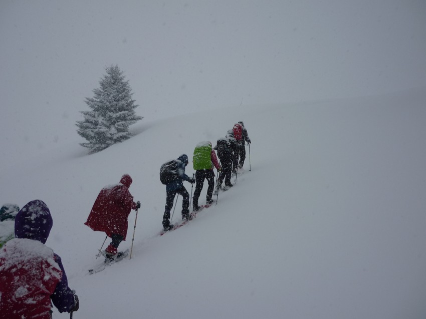 TRAVERSEE DU JURA FRANCO SUISSE EN RAQUETTE ET SKI DE FOND