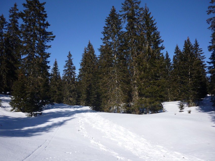 TRAVERSEE DU JURA FRANCO SUISSE EN RAQUETTE ET SKI DE FOND