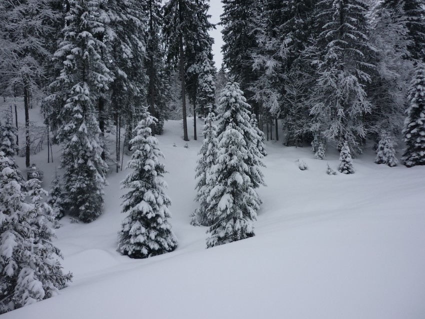 TRAVERSEE DU JURA FRANCO SUISSE EN RAQUETTE ET SKI DE FOND