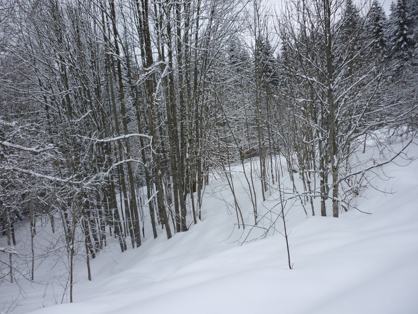 TRAVERSEE DU JURA FRANCO SUISSE EN RAQUETTE ET SKI DE FOND