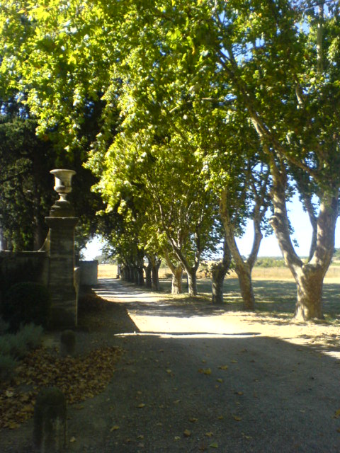 CHATEAU-DE-LA-MOGERE-JARDINS-LOCATION-VISITE-PLAN-MTP-MONTPELLIER-ODYSSEUM-MONUMENT-HISTORIQUE-FOLIE-MONTPELLIERAINE