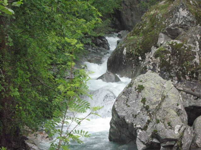 torrents photos gratuites montagne debit eau cours chenal ecoulement cone dejection sediments erosion flore glacieres alpes chamonix