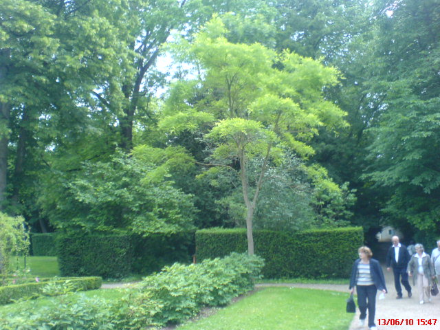 DOMAINE GEORGE SAND NOHANT DOMAINE GEORGE SAND NOHANT DOMAINE GEORGE SAND NOHANT
