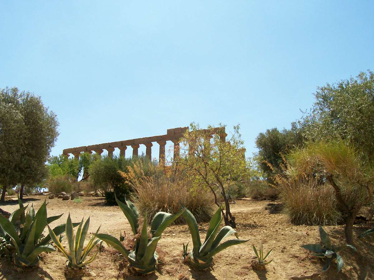 AGRIGENTE VALLEE DES TEMPLES TEMPLE DE LA CONCORDE SICILE