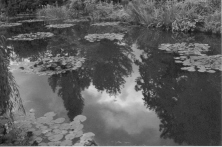 Giverny